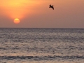 aruba04