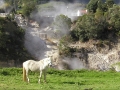 saomiguel017.jpg