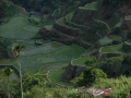 bantajan011