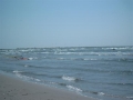 beauduc002.jpg