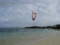 bellemare003