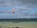 bellemare004