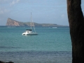 bellemare010