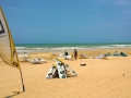 mmexport1436743358323