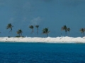 pinkbeach