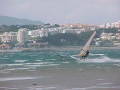 cova02.jpg