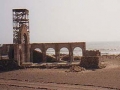 capsim01