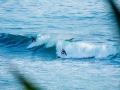 OIL_POINT_2