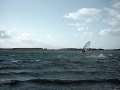 cospuden002