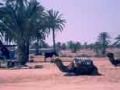 djerba005