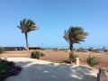 Fanatic_Marsa_Alam_00