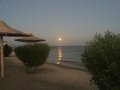 Fanatic_Marsa_Alam_12