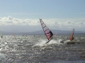 fischbach03