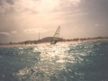 flagbeach1.jpg