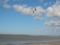 fortaleza006