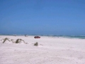 Geraldton-0033