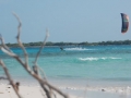 crasqui002