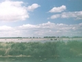lespignette004.jpg