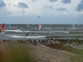 2015_09_05_Hally_Fehmarn-31