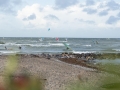 2015_09_05_Hally_Fehmarn-33