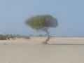 hurghada006