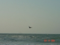 iguape010