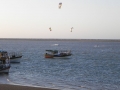 DSCN6209