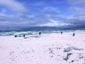 spotguide-südafrika-muizenberg