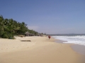 muyne001
