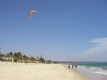 muyne002