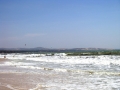 muyne003