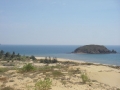 muyne_turtle002
