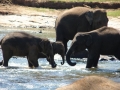 srilanka005