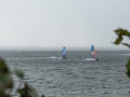 2015_09_05_Hally_Fehmarn-1