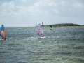 2015_09_05_Hally_Fehmarn-65