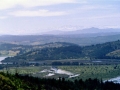 chile010