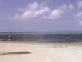 tobago002