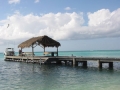 tobago010