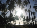tobago012