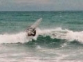 wairarapa006