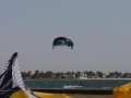 walvis001