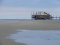 walvis005
