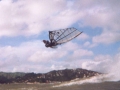 wellington002