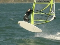 wellington006