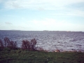 wiek